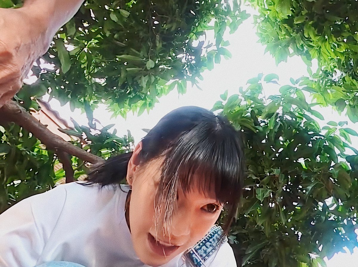bearcoming's tweet photo. ท่านั่งหลบผึ้ง :3 🐱🐝
#CherprangBNK48 https://t.co/YtTlcZrcLv