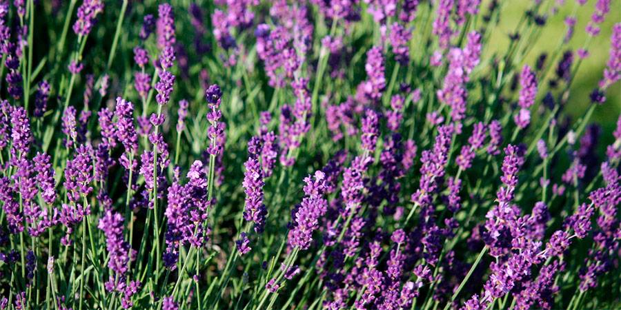 Córdoba Turismo tweet media