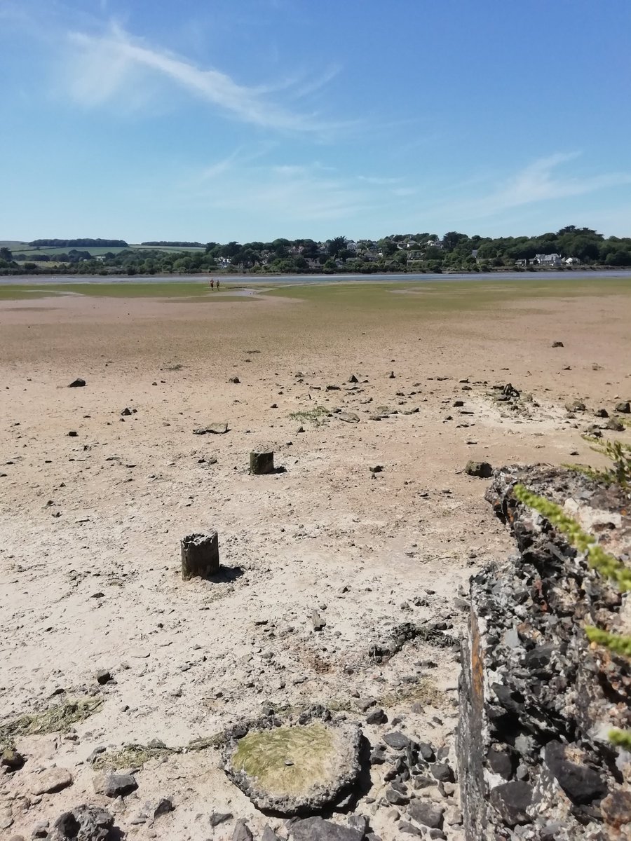 PS Paul Freestone tweet media