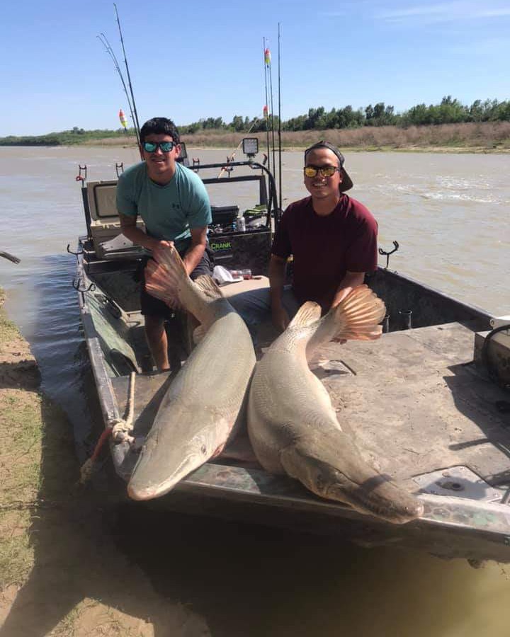 TIFRTV's tweet photo. Looks like fishing in the Lower Fresh Region has been a GAR-antee! Thanks for the photo Matt Reed!
.
.
#Fishing #Gar #AlligatorGar #Texas #Freshwater #FreshwaterFishing #TexasFishing #FishTexas #Bass #Crappie #Inshore #River #Lakes #Pond #SundayFunday #Sunday #FishingForAdventure https://t.co/cui28NZWOE