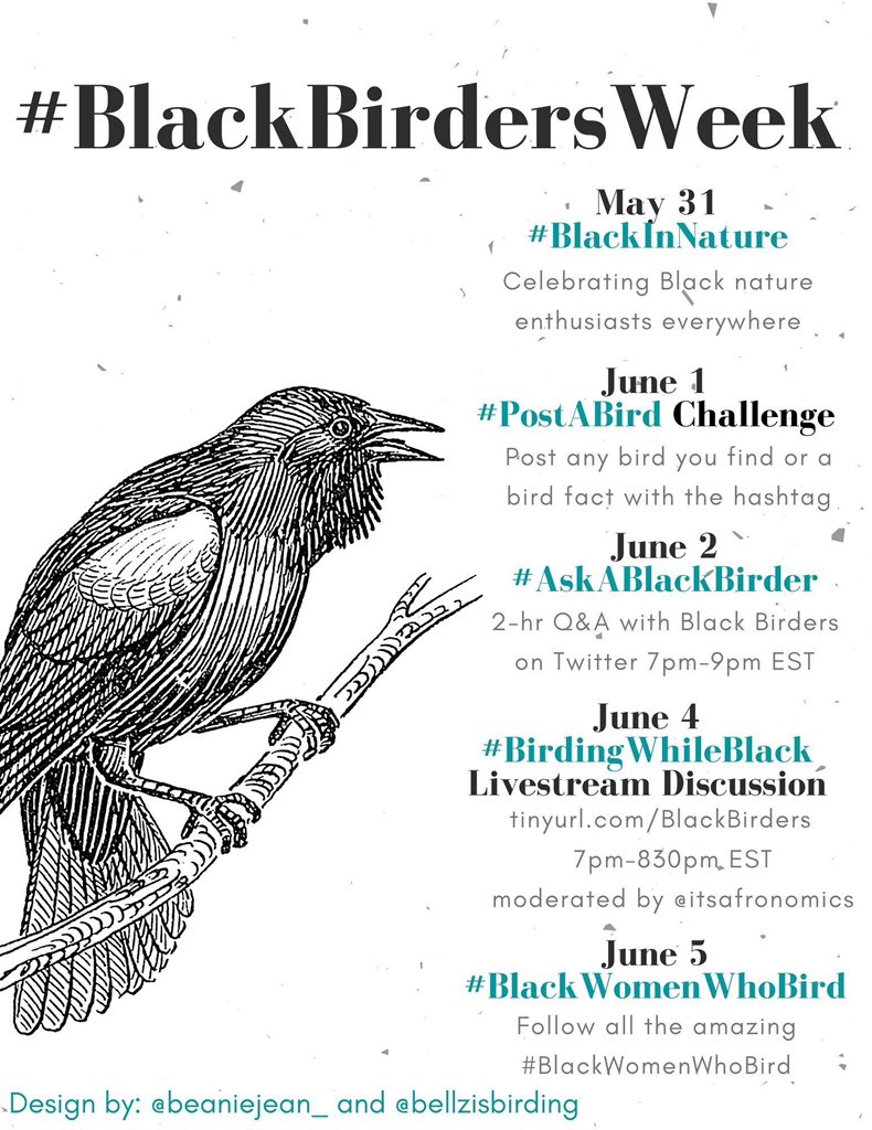 It’s day one of  #BlackBirdersWeek and we’re amplifying  #BlackInNature . But don’t let a rt be all you do today. A thread.