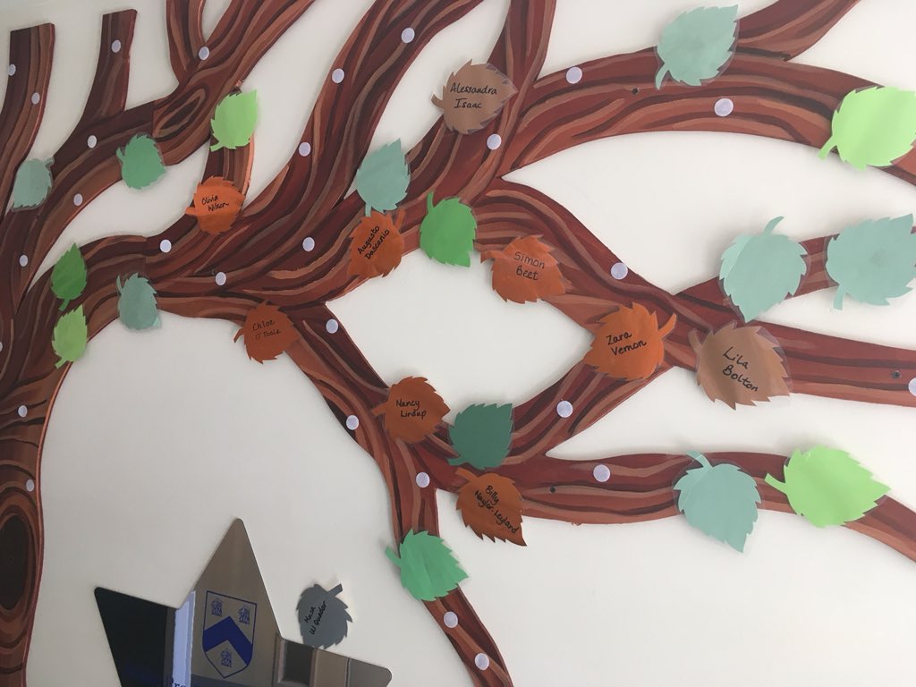 Witham Hall Pre-Prep tweet media