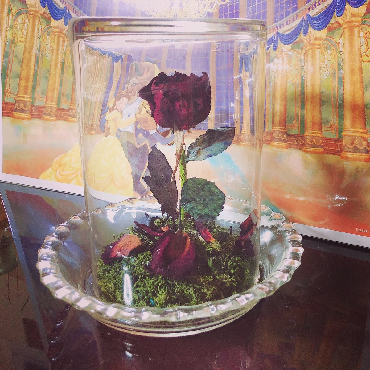 花びらが散る前に