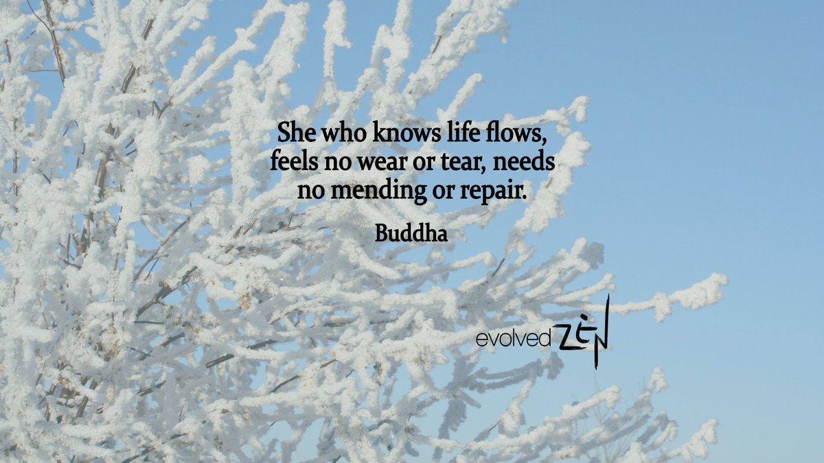evolvedzen tweet picture