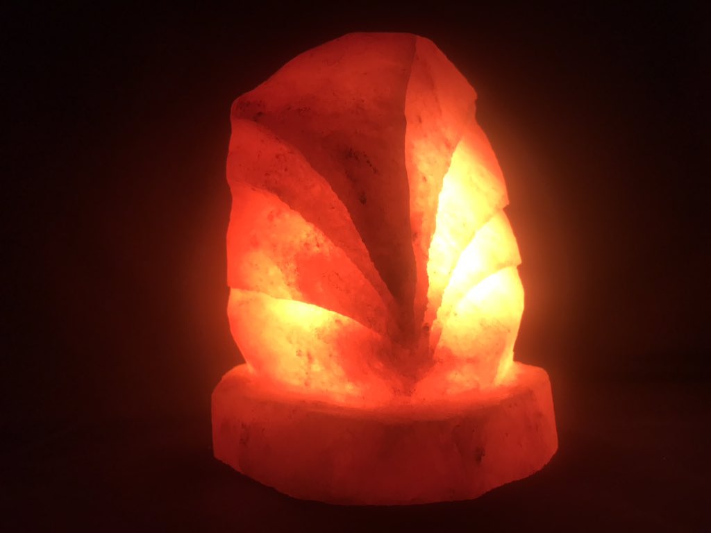 AndeanSalt tweet picture