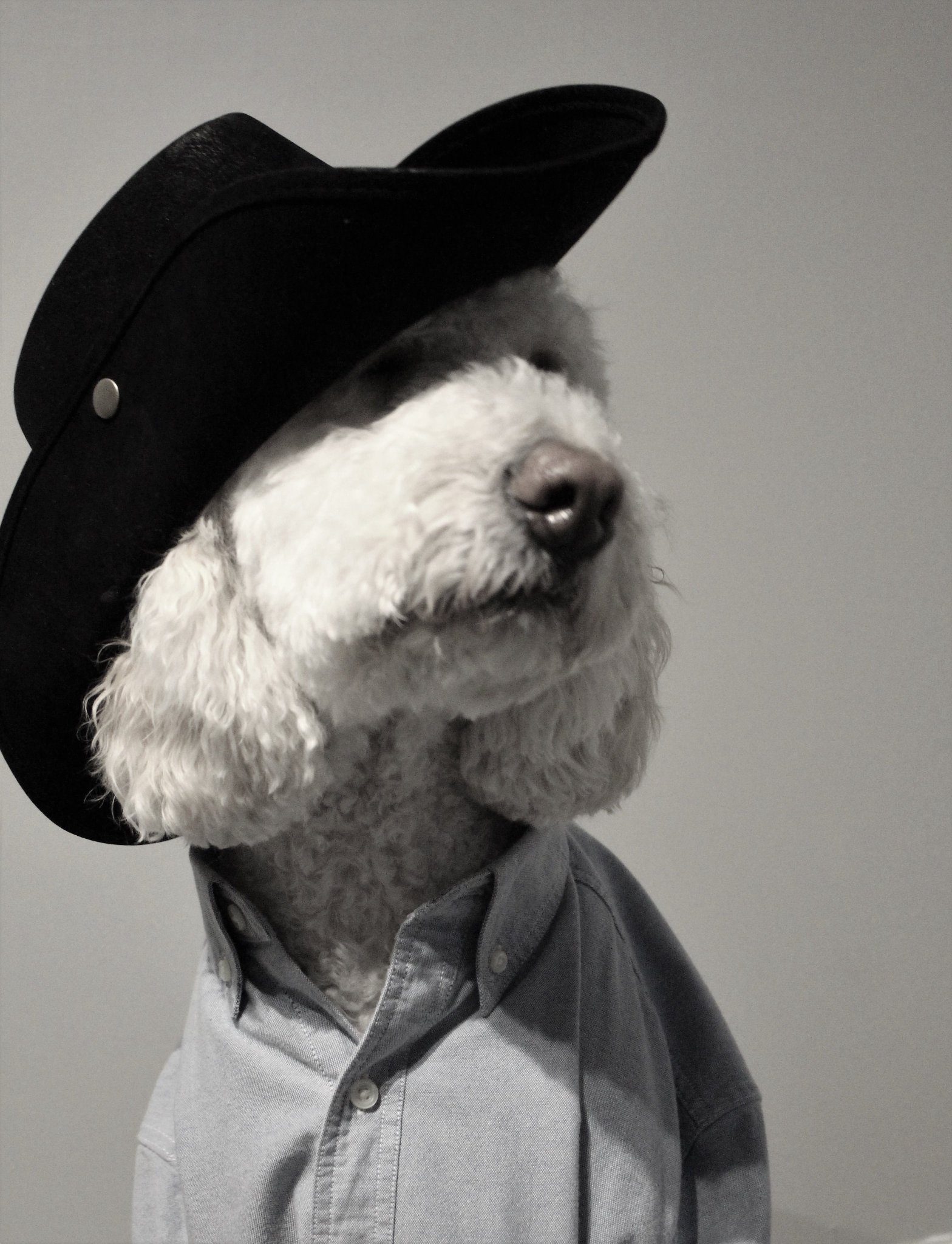 Happy 90th birthday Clint Eastwood! 