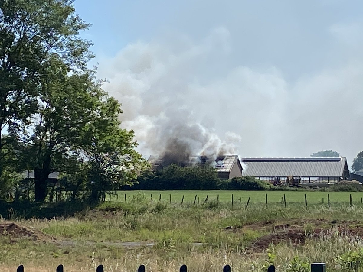 Arno_tweetABC's tweet photo. #brandinsomeren #someren #schuurbrand https://t.co/BY5wIYuHdd