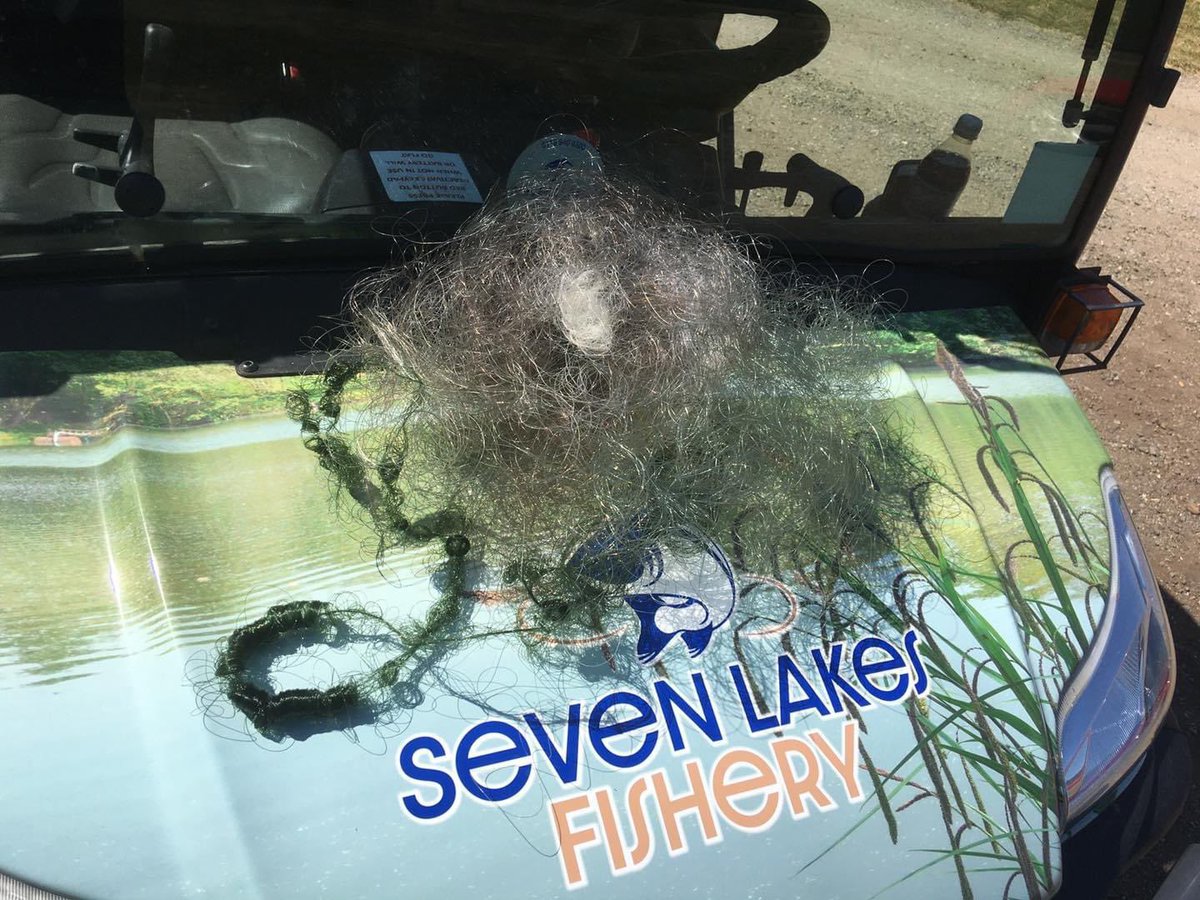 Seven Lakes Fishery tweet media
