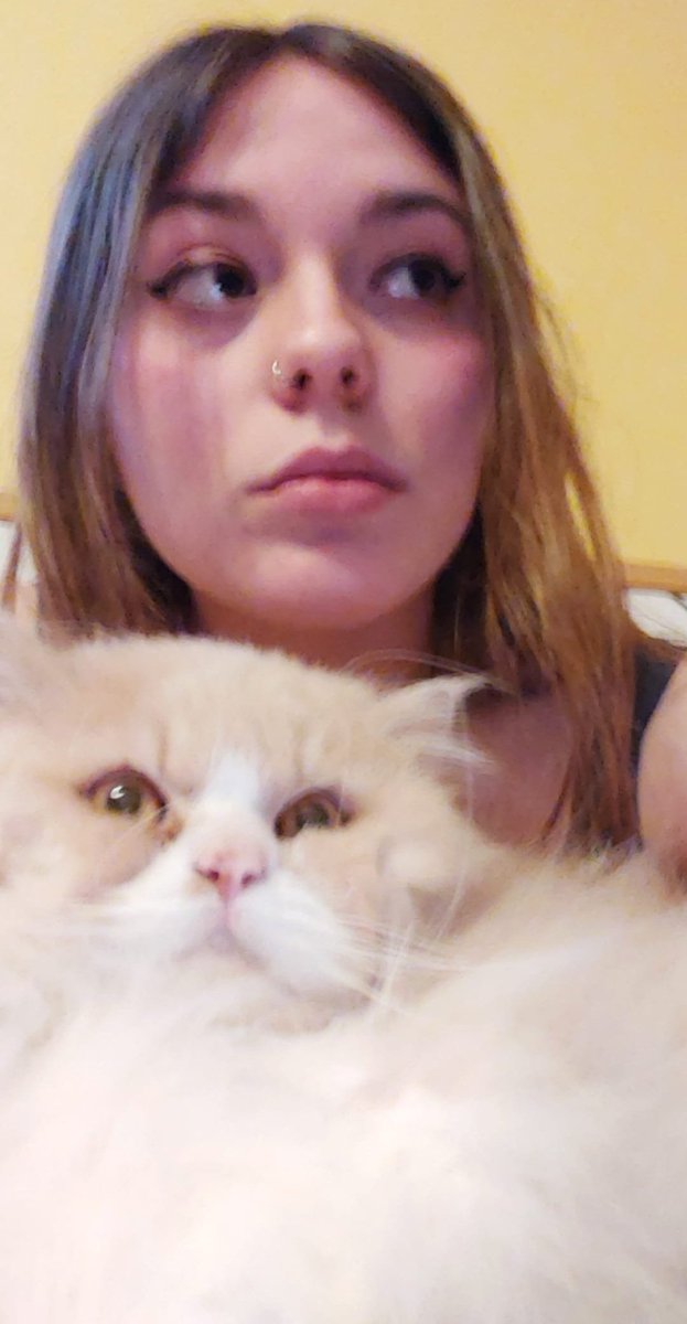 hoxe morriu o meu gato despois de pasar unha semana en veterinarios por culpa dunha infección que lle pasou un callejero abandonado, se te comprometes a ter un animal cuida del, os animales non son xoguetes para pasar o tempo