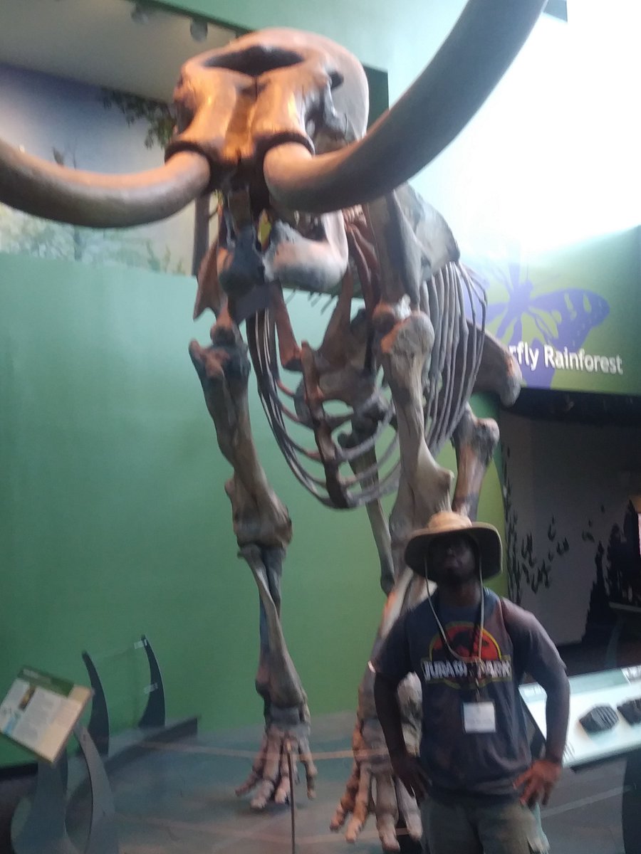 Cameron Muskelly (Explorer of Deep Time) 🕒 tweet media