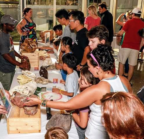 I'm a young black paleontologist, geologist, and Paleo/Geo educator in Gwinnett County, Georgia. I enjoy watching modern day dinosaurs. I enjoy unlocking the secrets that are hidden in the rocks around us and sharing the history of 4 billion years. #BlackInNature  #BlackAFinSTEM