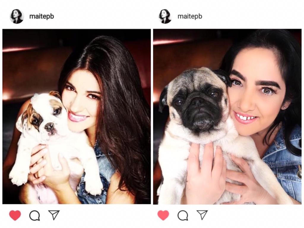 monikavicca's tweet photo. @MaiteOficial Bueno aqui va la mia @MaiteOficial espero que le guste. Yo no tengo un Sancho pero tengo a Mia Tereza 🐶🐕. Me custo un poco de trabajo hacerlo, pero fue muy divertido #ImitandoaMaite 😍❤ https://t.co/GVSP8SXyU9
