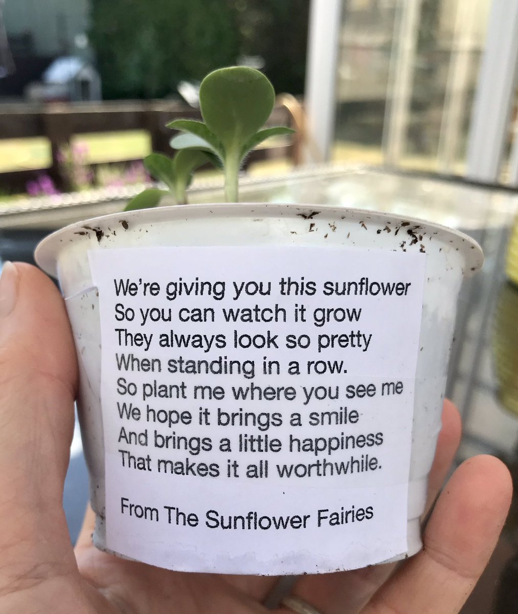 VixDraisey's tweet photo. Just found this in our doorstep ❤️🌻❤️🌻 How absolutely lovely x Thank you Sunflower Fairies XX 🌻🧚‍♀️🌻@RandomActsOrg @RAKFoundation @actsofkindness @WildlifeTrusts @BBCSpringwatch @ChrisGPackham @michaelastracha @SteveBackshall #actsofkindness #actsofwildlife https://t.co/JzDqufuUDv