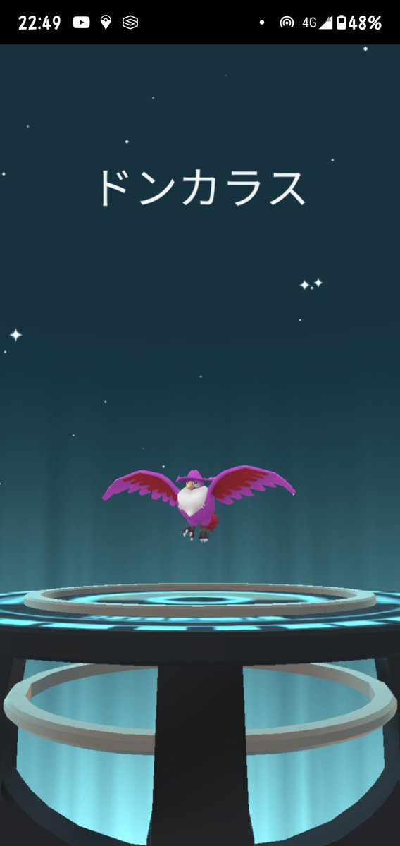 けーとら ポケモンgo 久々に色違い 初のからすうーーー ドンカラスやとマダム感が出るなぁ 荒地の魔女感