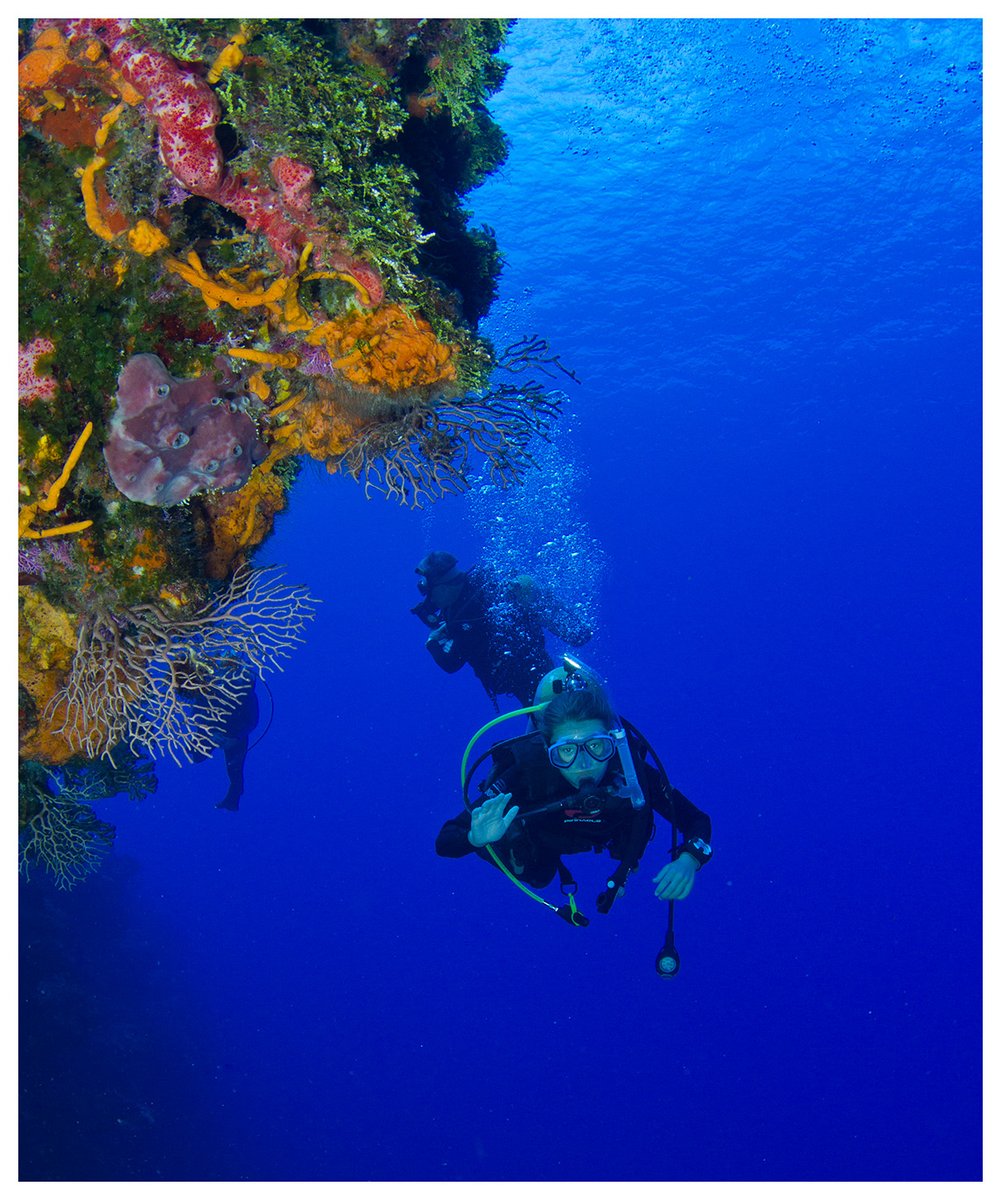 BlueH2oCozumel's tweet image. Cozumel #scuba #tours with experienced #PADIInstructors
blueh2ocozumel
blueh2ocozumel.com
##Cozumel #Snorkelling #BoatTours