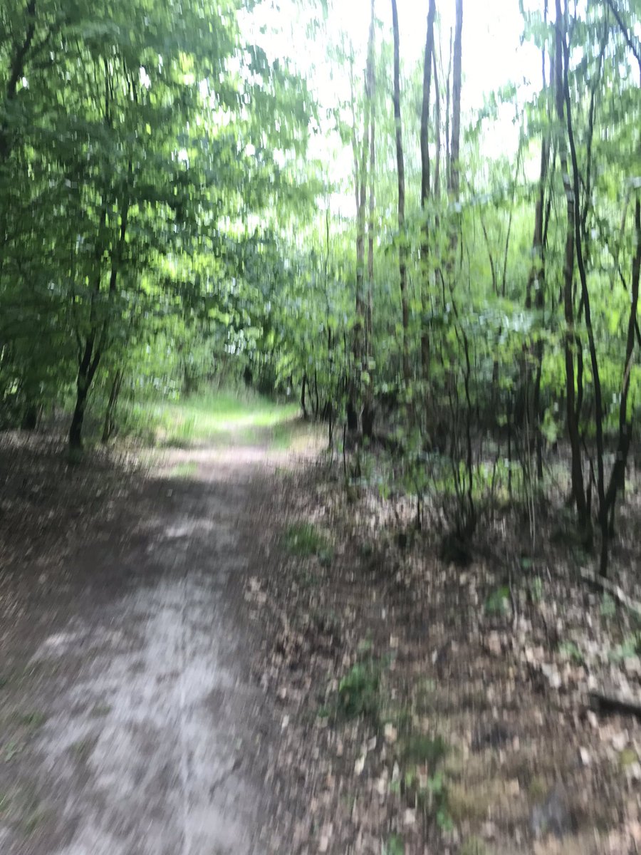 juan2FD's tweet image. Vamos bien, cogiendo ritmo poco a poco en los entrenamientos...que aquí uno se dejó mucho y se ha puesto fondón 😅🤣

#derwegistdasZiel