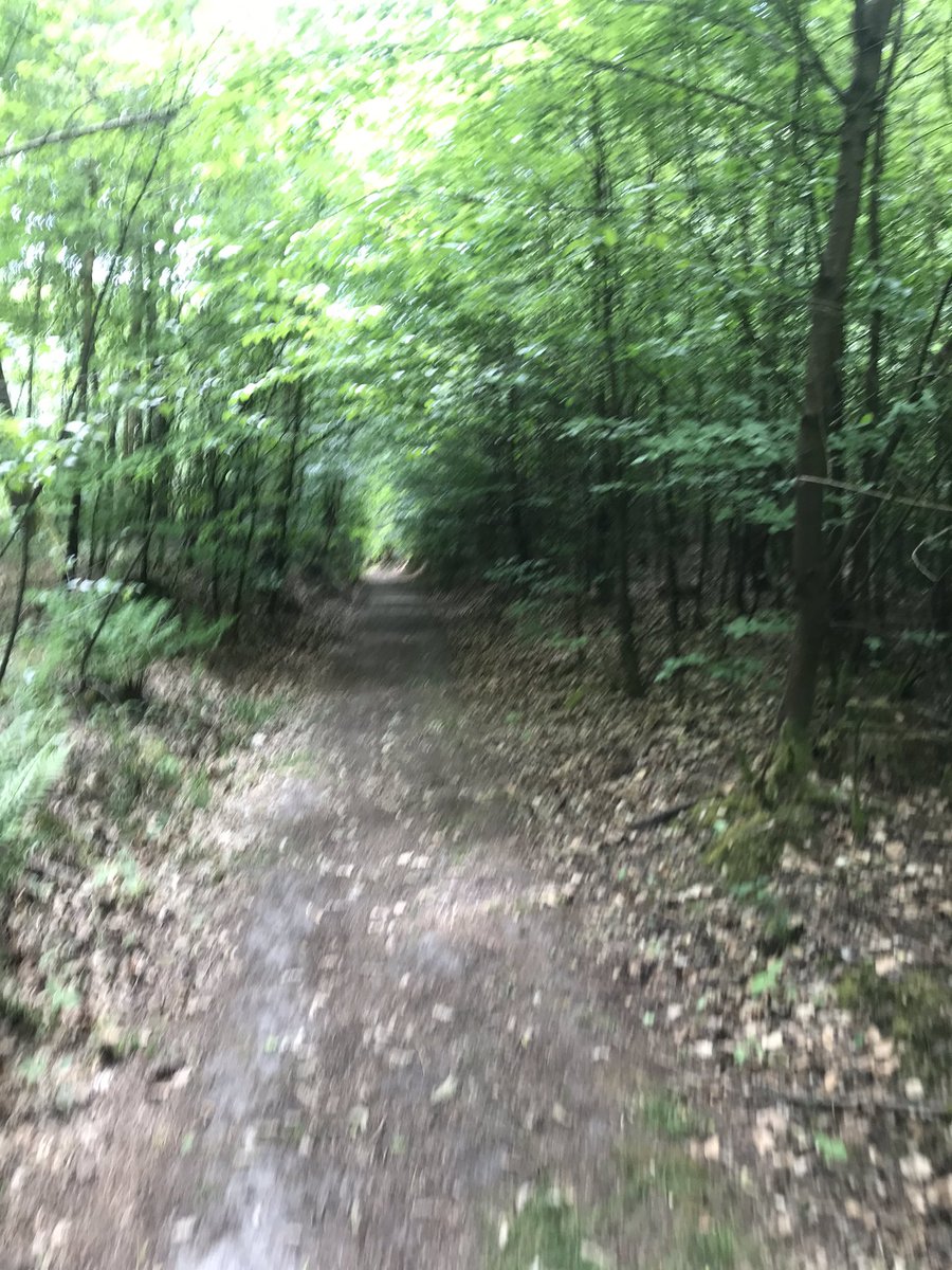 juan2FD's tweet image. Vamos bien, cogiendo ritmo poco a poco en los entrenamientos...que aquí uno se dejó mucho y se ha puesto fondón 😅🤣

#derwegistdasZiel