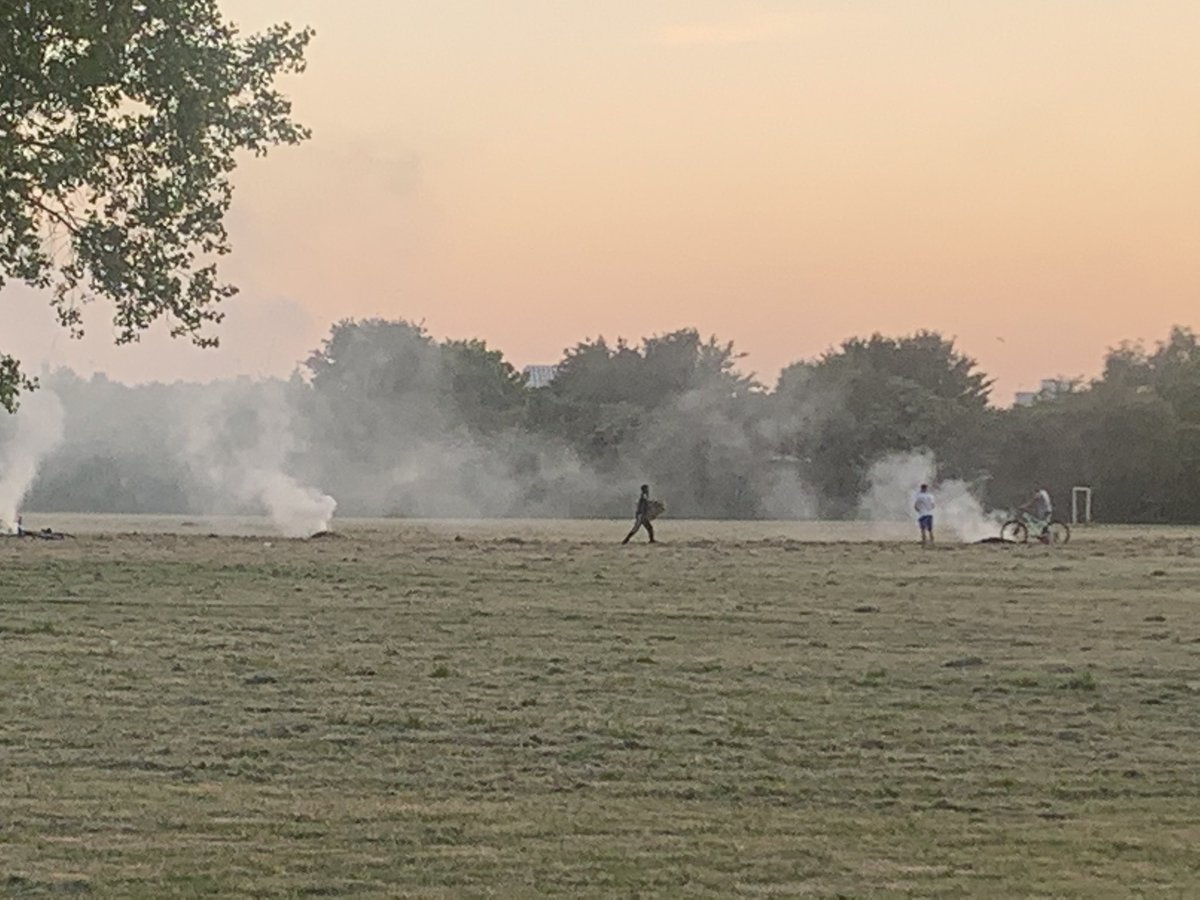 WildlyPipGray's tweet image. Thanks for destroying valuable wildflower in Tremorfa during spring @cardiffcouncil and leaving it all piled up dead, it sure is fun for the local scumbags to set fire to.

#SayNoToTheMow