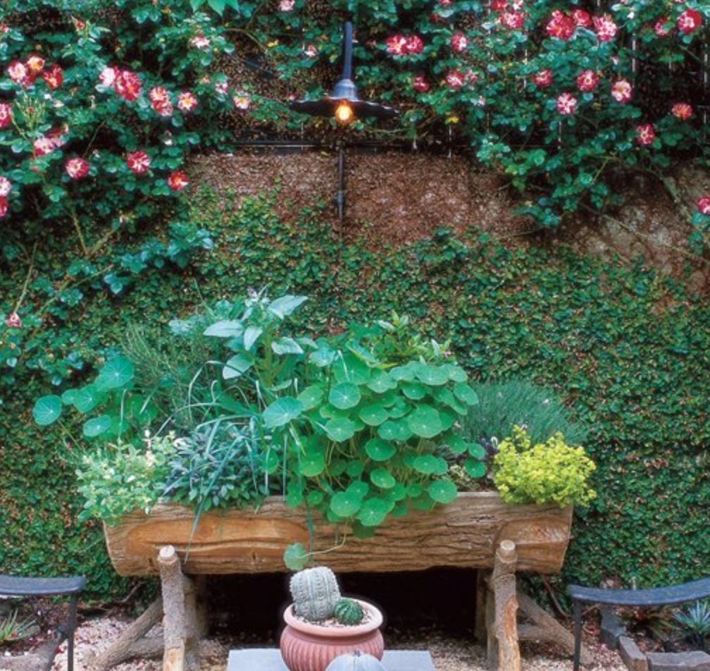 GardenDesignMag's tweet photo. Do you consider your garden small?
We shared 7 simple steps #garden designer William Morrow used to transform his backyard, including size-appropriate plant recommendations, in our recent newsletter.
Read it now https://t.co/s2RJOUCy0C Photos by Roger Foley. #smallgardendesign https://t.co/FaKc2B7Kxd