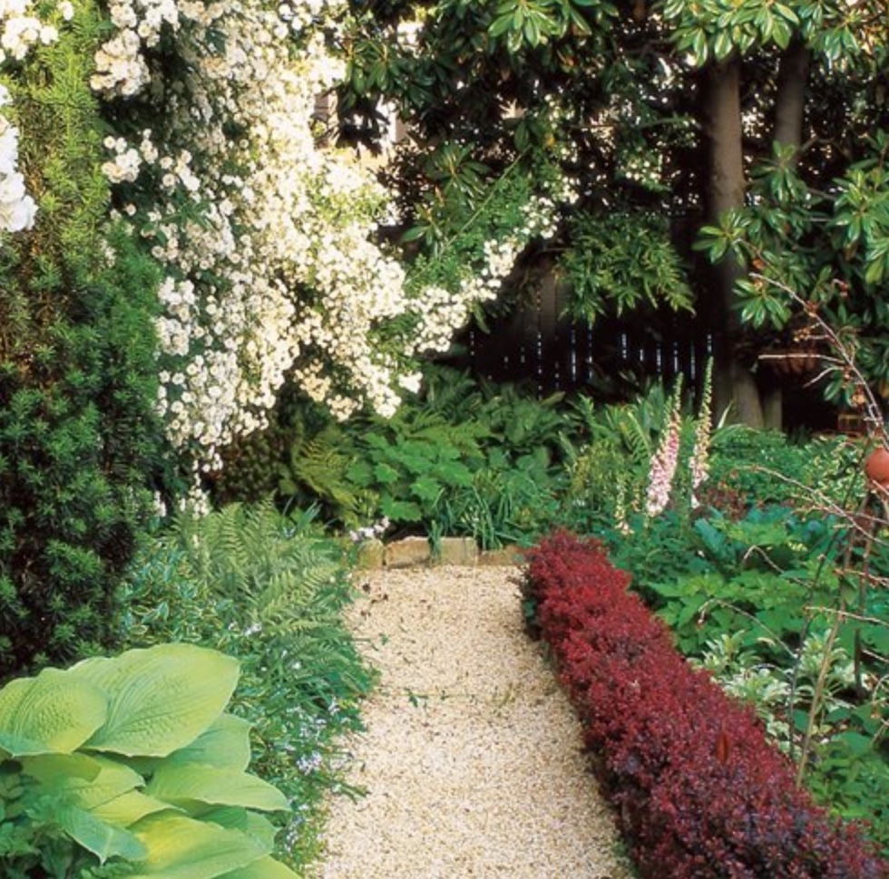 GardenDesignMag's tweet photo. Do you consider your garden small?
We shared 7 simple steps #garden designer William Morrow used to transform his backyard, including size-appropriate plant recommendations, in our recent newsletter.
Read it now https://t.co/s2RJOUCy0C Photos by Roger Foley. #smallgardendesign https://t.co/FaKc2B7Kxd