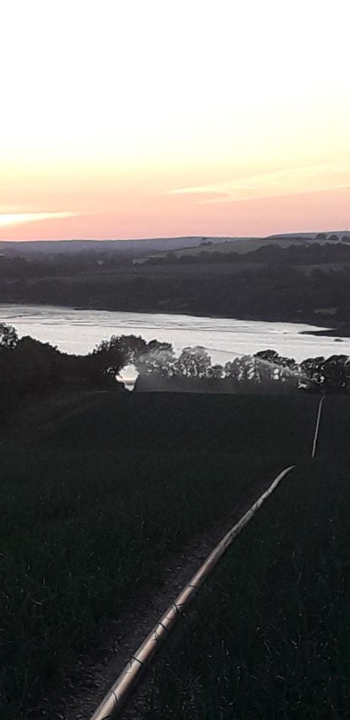 Nice calm evening for giving the onions another 25 mm of rain