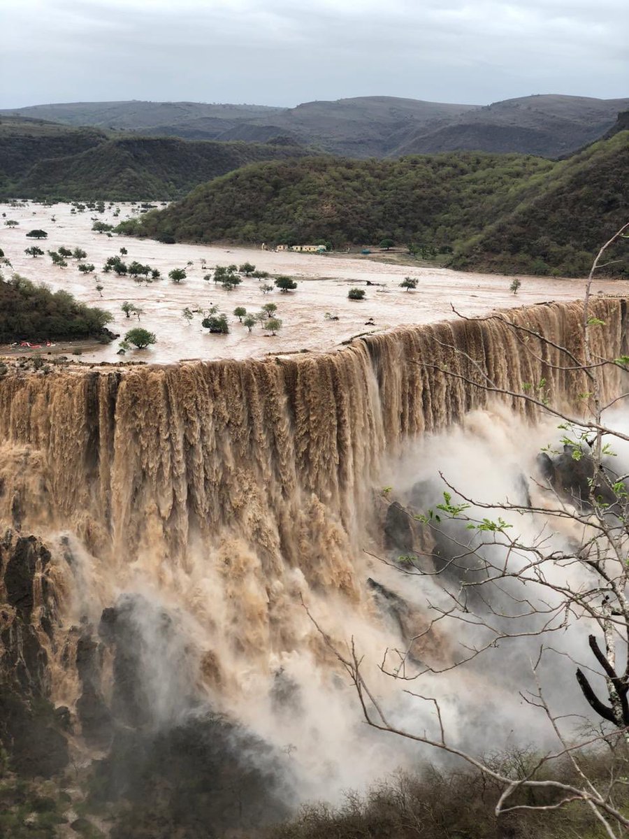 كان رسول ﷺ إذا سمع صوت الرعد والصواعق يقول :
"اللهُم لا تقتلنا بغضبك ولاتُهلكنا بعذابك وعافنا قبل ذلك"

سُبحان الذي يُسبح الرعد بحمده والملائكة من خِيفته
اللهم صيباً نافعاً
اللهم سقيا رحمة لا سقيا عذاب  ، اللهم ارفع عنا البلاء والوباء