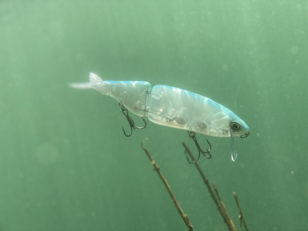 iori_caeruleus's tweet photo. #thestrikeskateandtackleshop
#fishdiamond https://t.co/BnSIAoxSF2