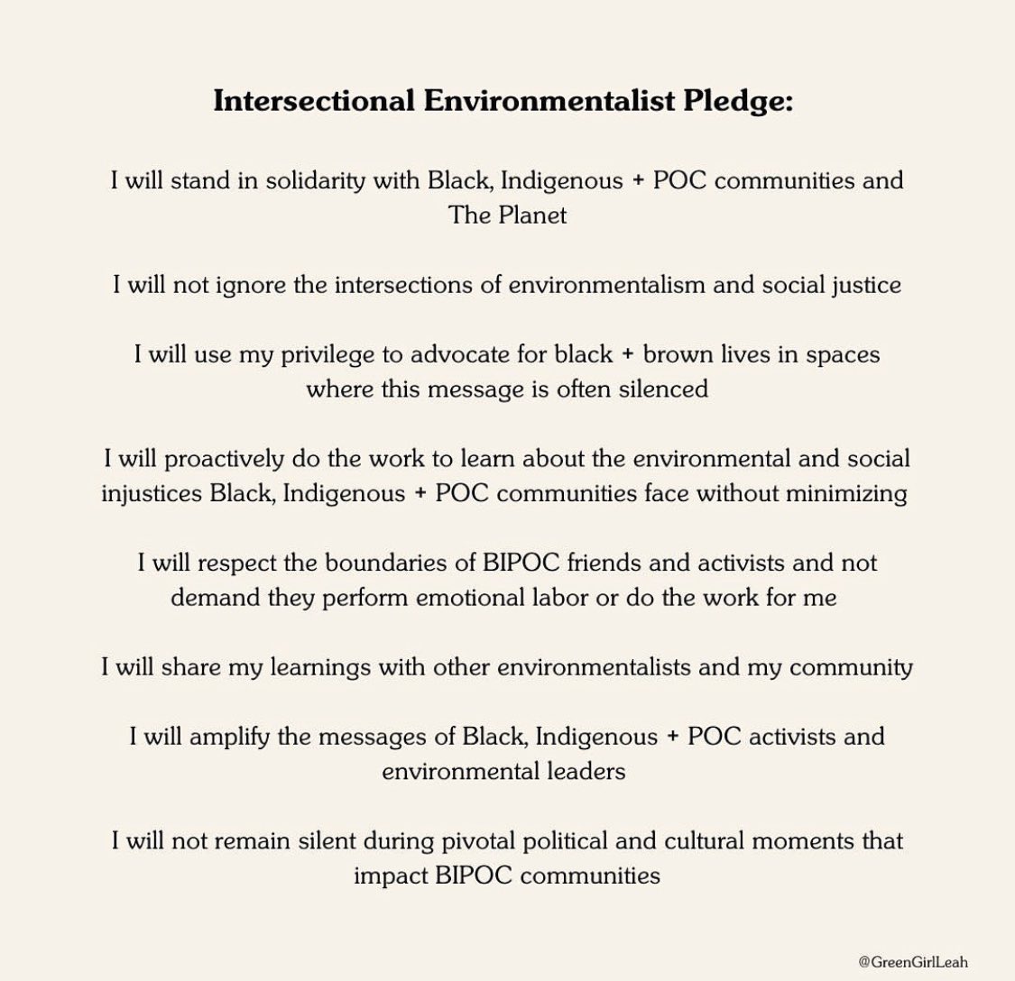 AyaPaperCo's tweet photo. As a black woman owned sustainable business, intersectional environmentalism ✊🏾♻️ is one of our founding values. 

Sharing this pledge in case anyone else that consider themselves ethical or sustainable are looking for some place to start (credit @/greengirleah on IG) https://t.co/JpmIhBybtN