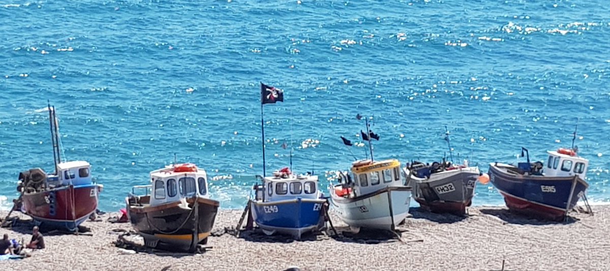 GeriCoombe's tweet photo. Up early for a sea swim in a very quiet Beer. Never bore of these boats or this view @eastdevon #paradiseondoorstep #localmaid https://t.co/ifDZEIKjct