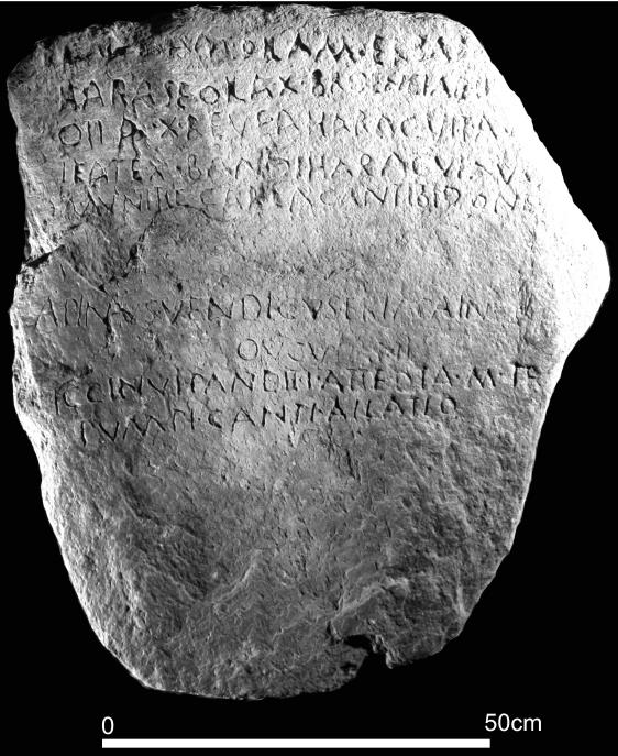 15/ Finally, Bandua appears in an inscription written in the Lusitanian language, in the line: Tav(ro) Ifate X Bandi HaracviThat is, "10 fertile/sacred bulls to Bandi Haracui". The bull is a symbol of the ancestral life force, so now our interpretation makes even more sense