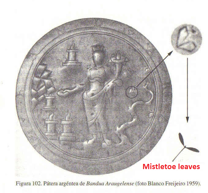 6/ In this patera, Bandua is depicted as female. She has a crown, a patera and a horn of plenty, very similar to Roman Tutela and Fortuna/Tyche. Furthermore, she is surrounded by altars with the sacred flame and a tree from which mistletoe leaves fall. To the left, we see rocks