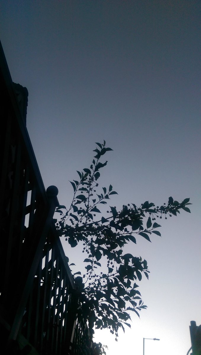 CeciliaDaForno1's tweet photo. Selected beauty #onlythegoodthings #nature #grateful https://t.co/nCXpUON8TU