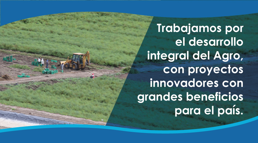 JuntosUrcuqui's tweet photo. El desarrollo integral del agro es importante para el beneficio del país. #SiembraEP trabaja en proyectos innovadores a través de nuevos modelos de asociatividad, con los que se generarían mayores ingresos económicos a corto y mediano plazo.

#JuntosUrcuquí #SiembraSiProduce https://t.co/616CayTud6