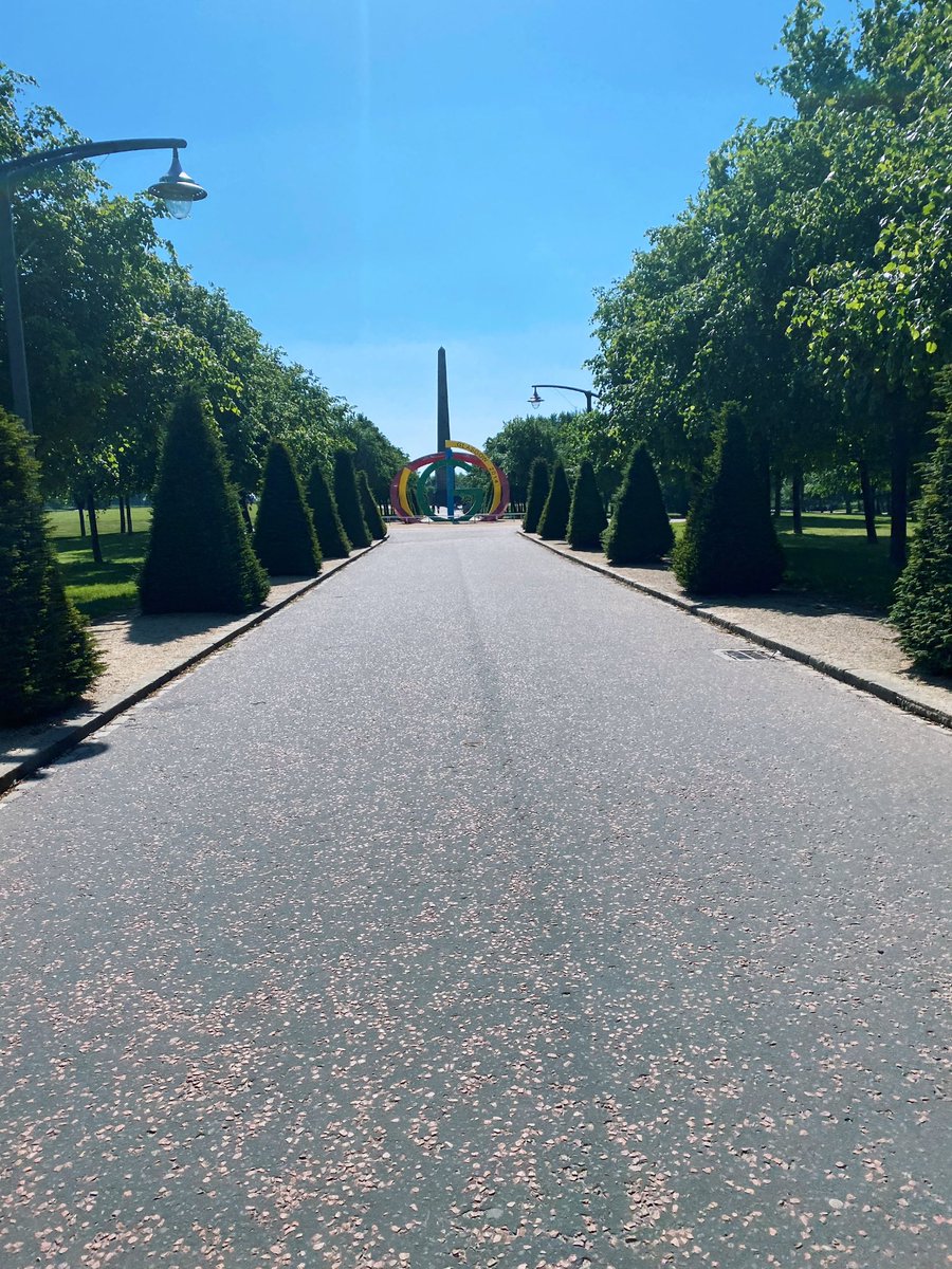 MissWalker_PE's tweet photo. Beautiful cycle in the sun this morning 🚴🏽‍♀️☀️ Supporting @BackOnside @BalfronHSsport @McLarenHSPE #Balfronathon https://t.co/GY7c77Xkqq