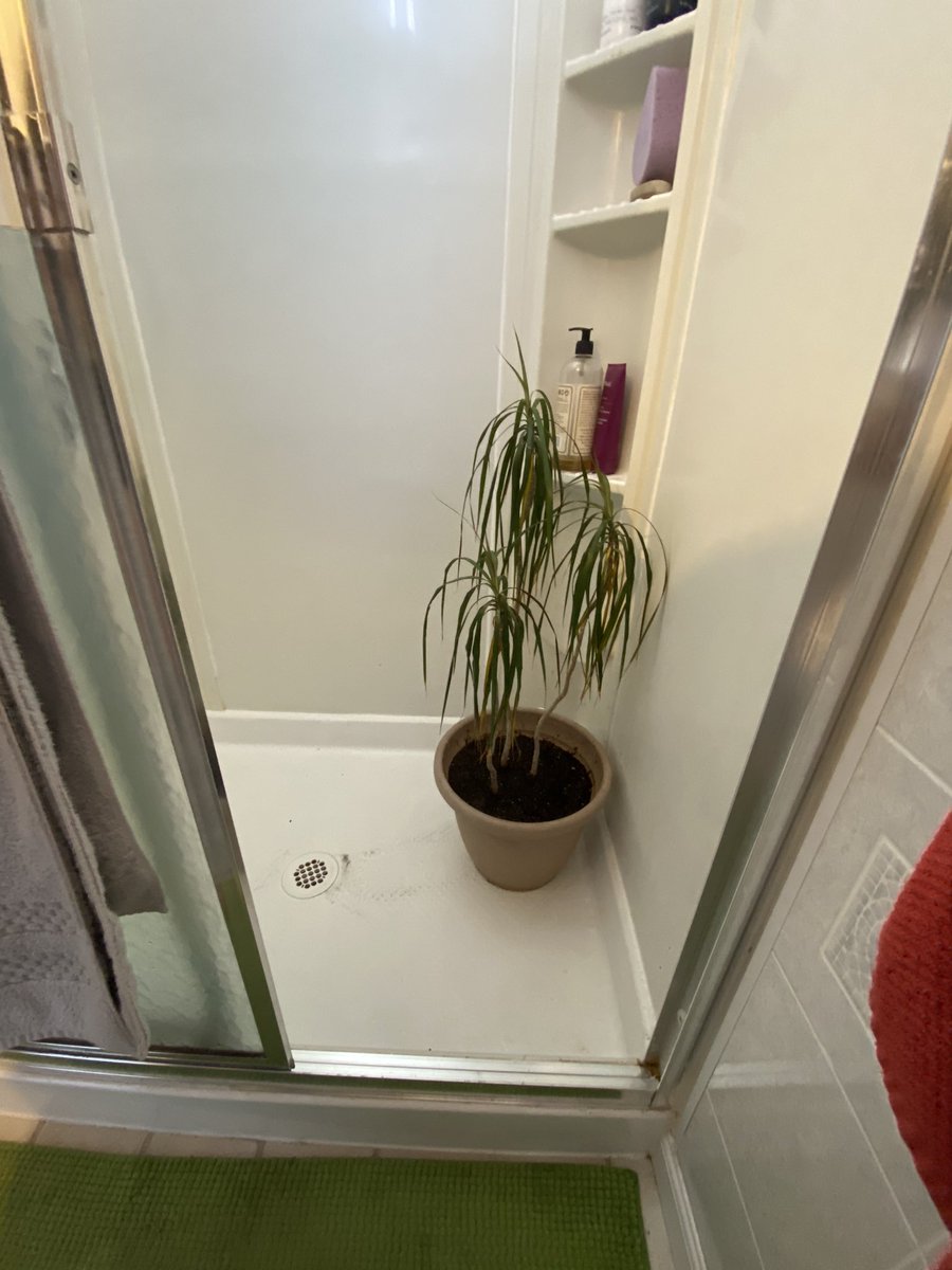 Bryan Bickel tweet media