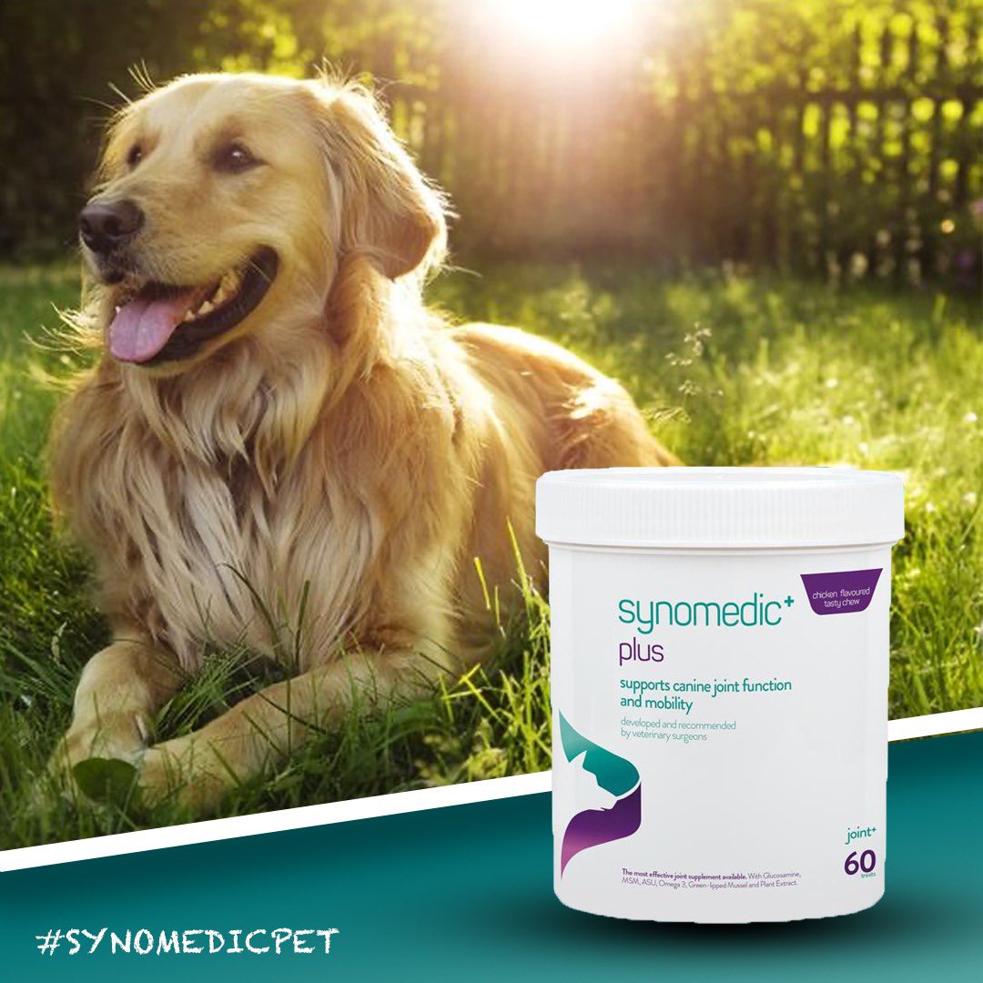 Support their growing joints, aid development and mobility with synomedic+ plus 🐶 #EQ #SynomedicPlus #EQMedic #Dog #Pet