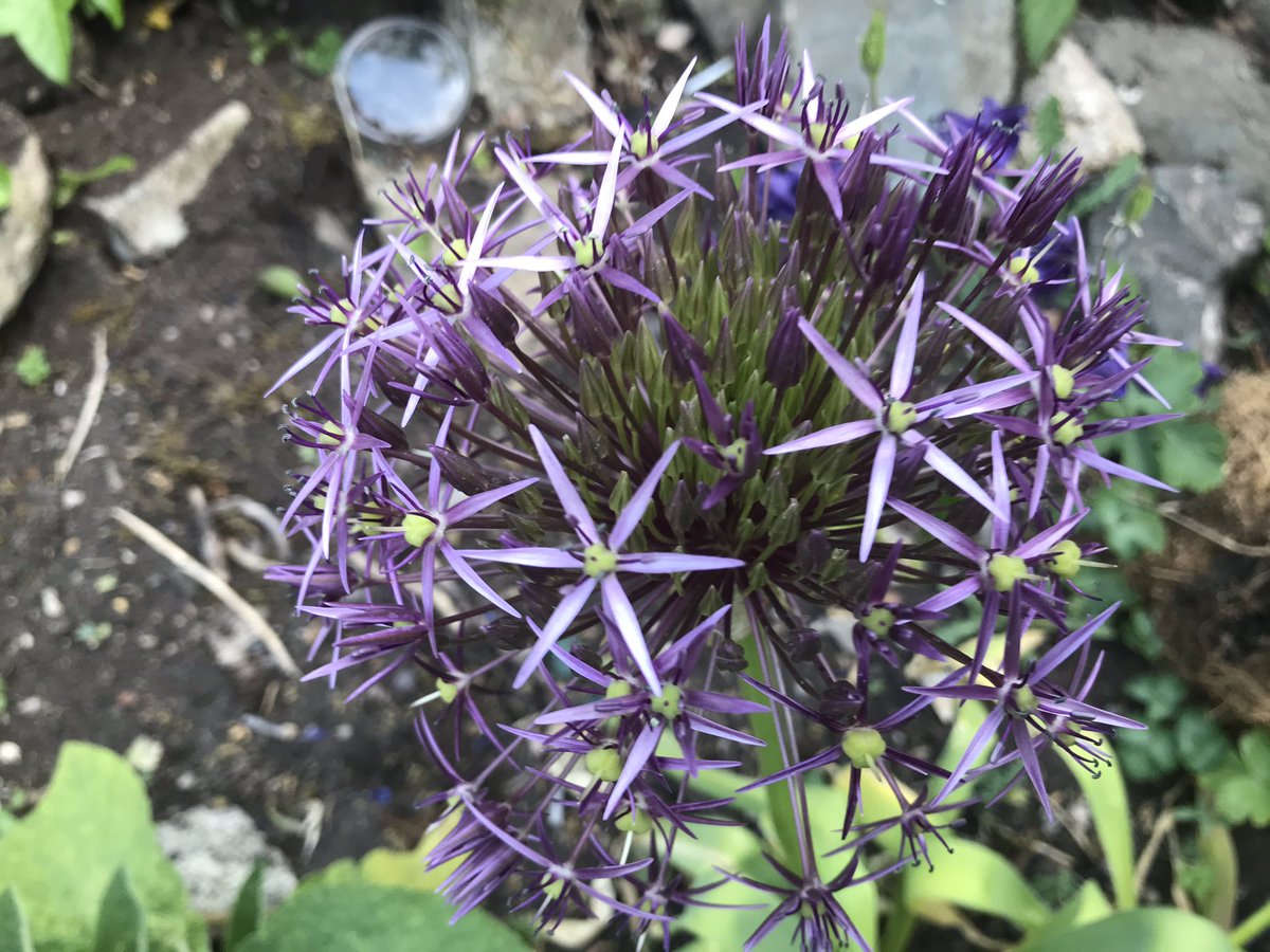 ChristopherWormanMBE tweet media