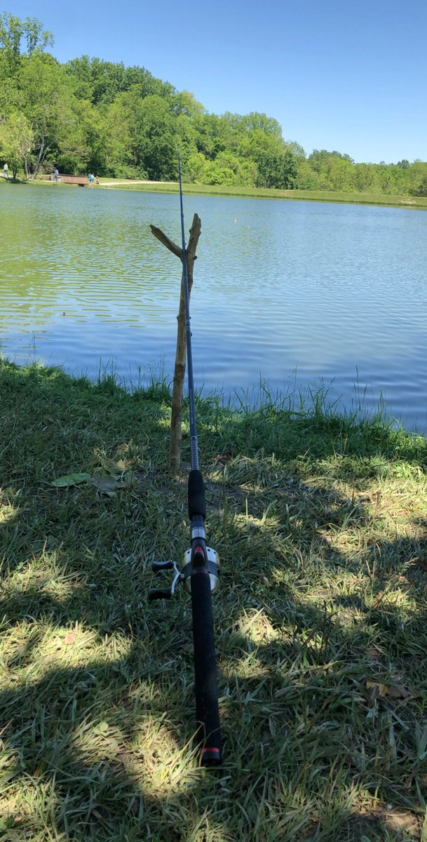 No caption needed! #sundayvibes #fishing