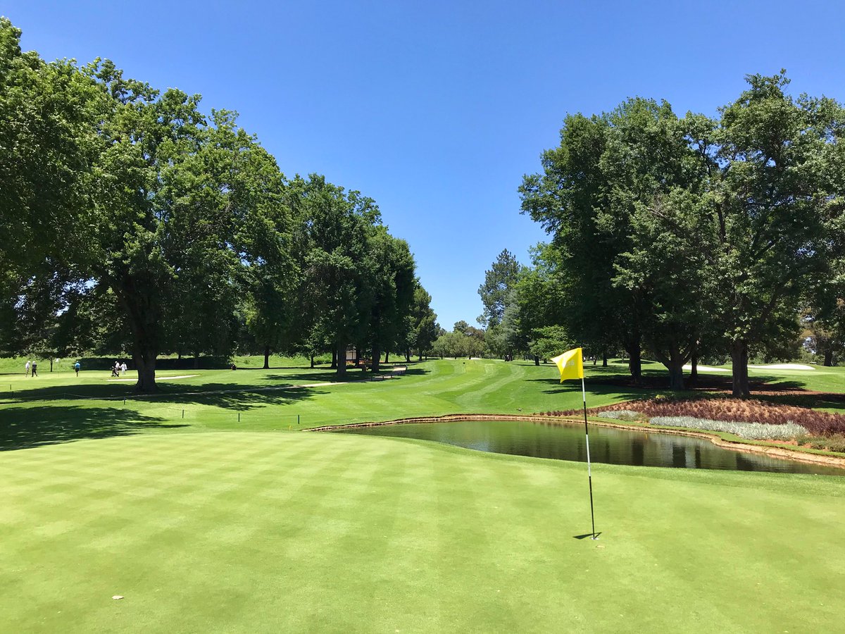 followthebounce's tweet photo. Vitamin D could well reduce Covid-19 complications. 
@Royal_JHB_Golf is like a farm for it naturally, it’s also home for a game called golf which teaches people social distancing. 
If we could just apply these thoughts somehow and open this facility and ones similar to it. https://t.co/MptsFE10Zc