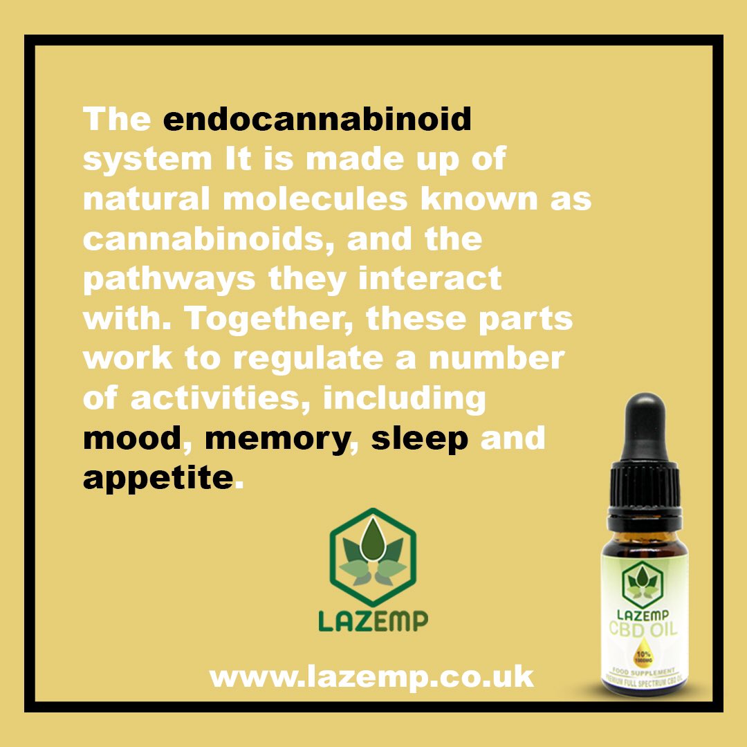 lazemp's tweet photo. What is an endo cannabinoid? https://t.co/0rHW1jxcyb come check us out. #cbd #love #life https://t.co/rYqUgPr1Xd
