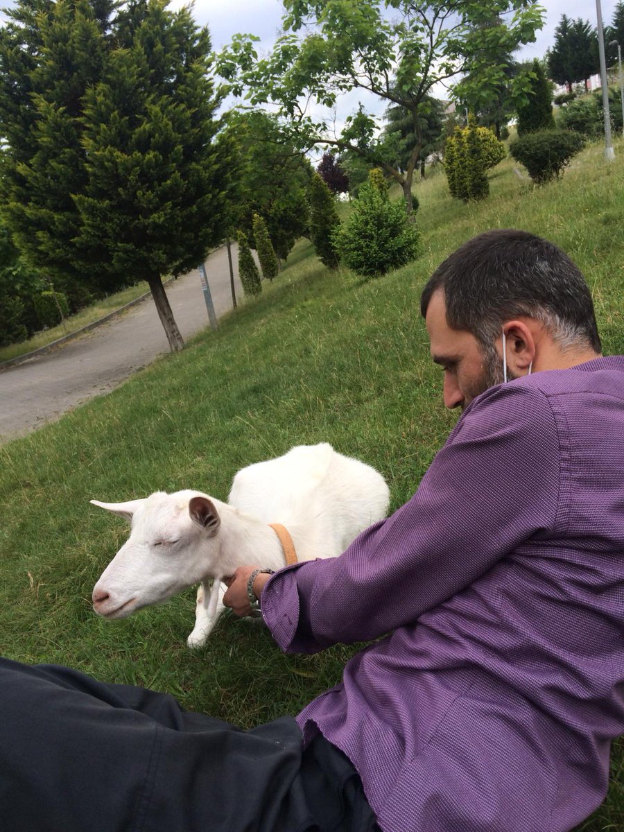 can ayten (@canayten2) on Twitter photo 