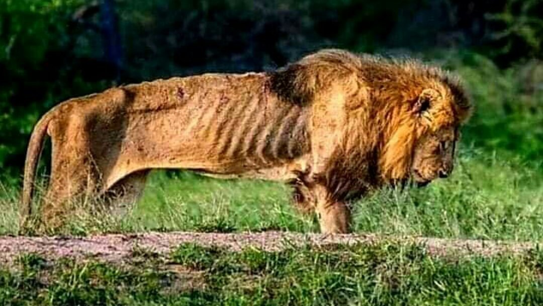 دنیا کی نعمتیں ہمیشہ کے لیے عطا نہیں کی جاتیں...!!! 
نہ جوانی رہتی ہے نہ رعب دبدبہ، نہ شان و شوکت نہ صحت...!!!
😢😢