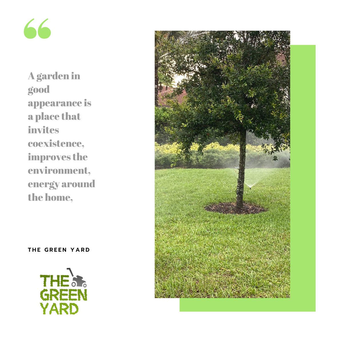 TheGreenYard2's tweet photo. The Green Yard is committed to providing you with high-quality, professional work honestly and efficiently. For more information visit our website (bio) #thegreenyard #staygreenstayclean #lawncare #landscaping #gardens #orlando #kissimmee #clermont #getyourquote #promotions 💚 https://t.co/29c8uFXvqL