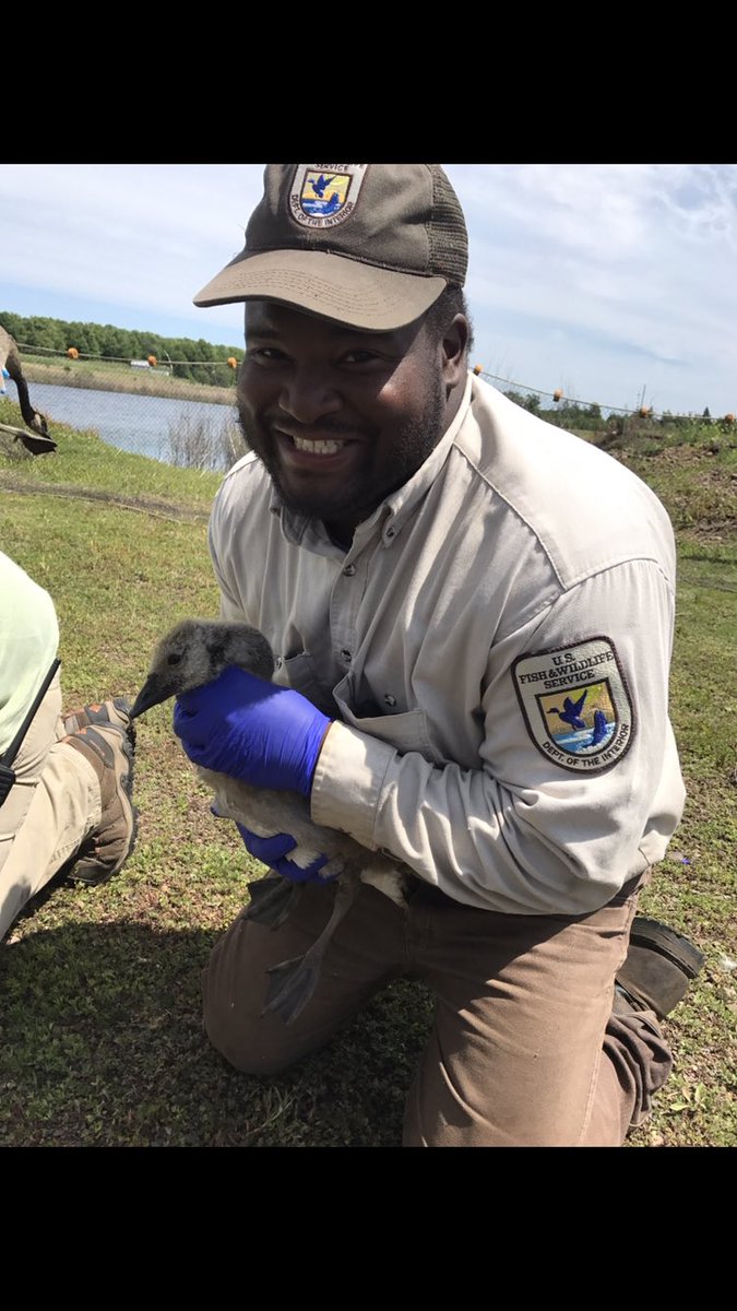 Some of the career opportunities that have developed from my  #blackinNature path. Include a Park ranger, An environmental educator, some stents as a Biological Technician, a Bat Biologist, and most recently a Endangered species observer and Graduate student.  #BlackBirdersWeek