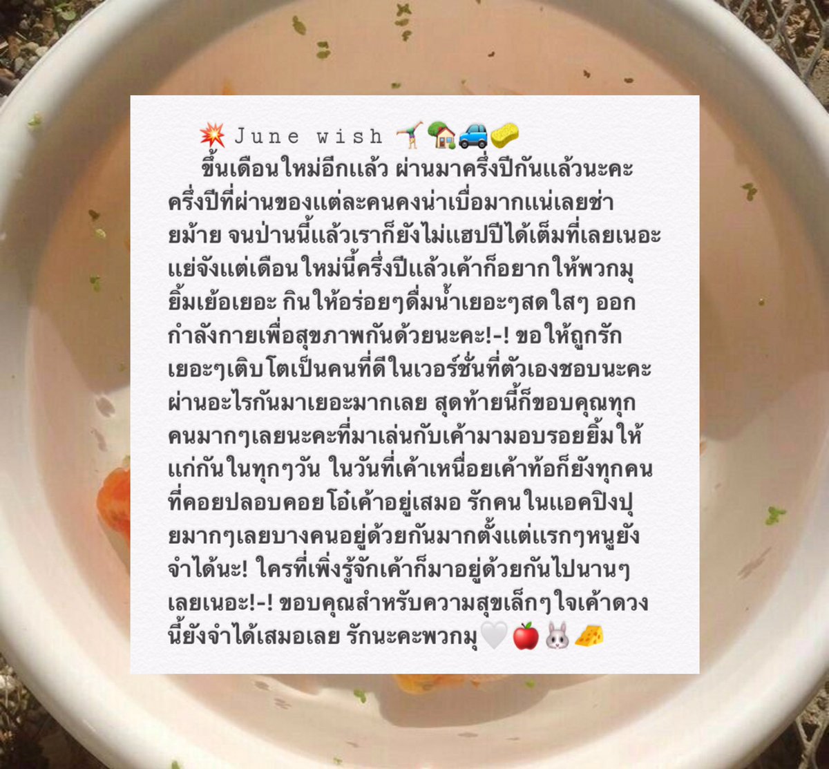 🧀🗯🧀🗯🧀🗯🧀🗯🧀🗯🧀🗯🧀