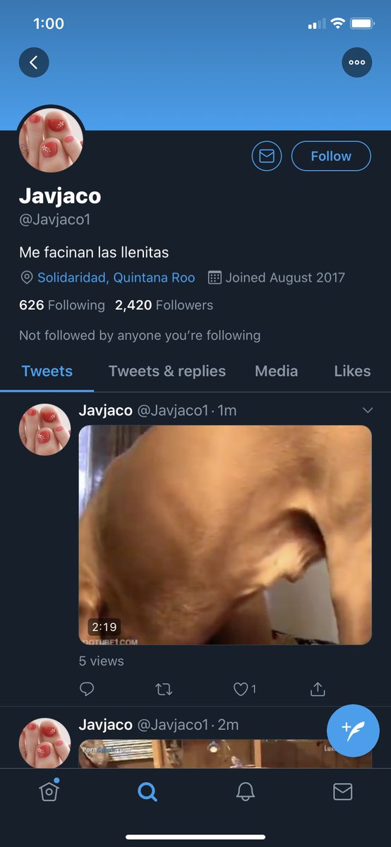 MapHunterJudy's tweet photo. @/Javjaco1 ⚠️WARNING BESTIALITY⚠️
Please do not scroll or interact, just report. 
#REPORTALLZOOPHILES #antizoo #fuckzoo #zooshavenorights #fuckzoophilia #antizoophile #zoosarentvalid | #zoophilia #zoophile #zoorights #zoopride #zoosarevalid #zoocommunity #zoosupport https://t.co/zpDPIT5z0E