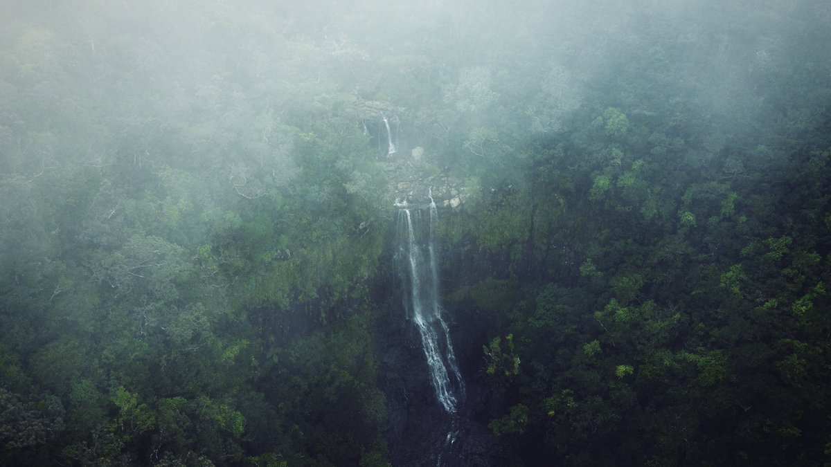 SpotlightMu's tweet photo. Alexandra falls Mauritius 🇲🇺 https://t.co/nuM0PFWvSA