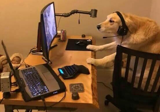 Así estoy leyendo todo los hilos sobre Anonymous