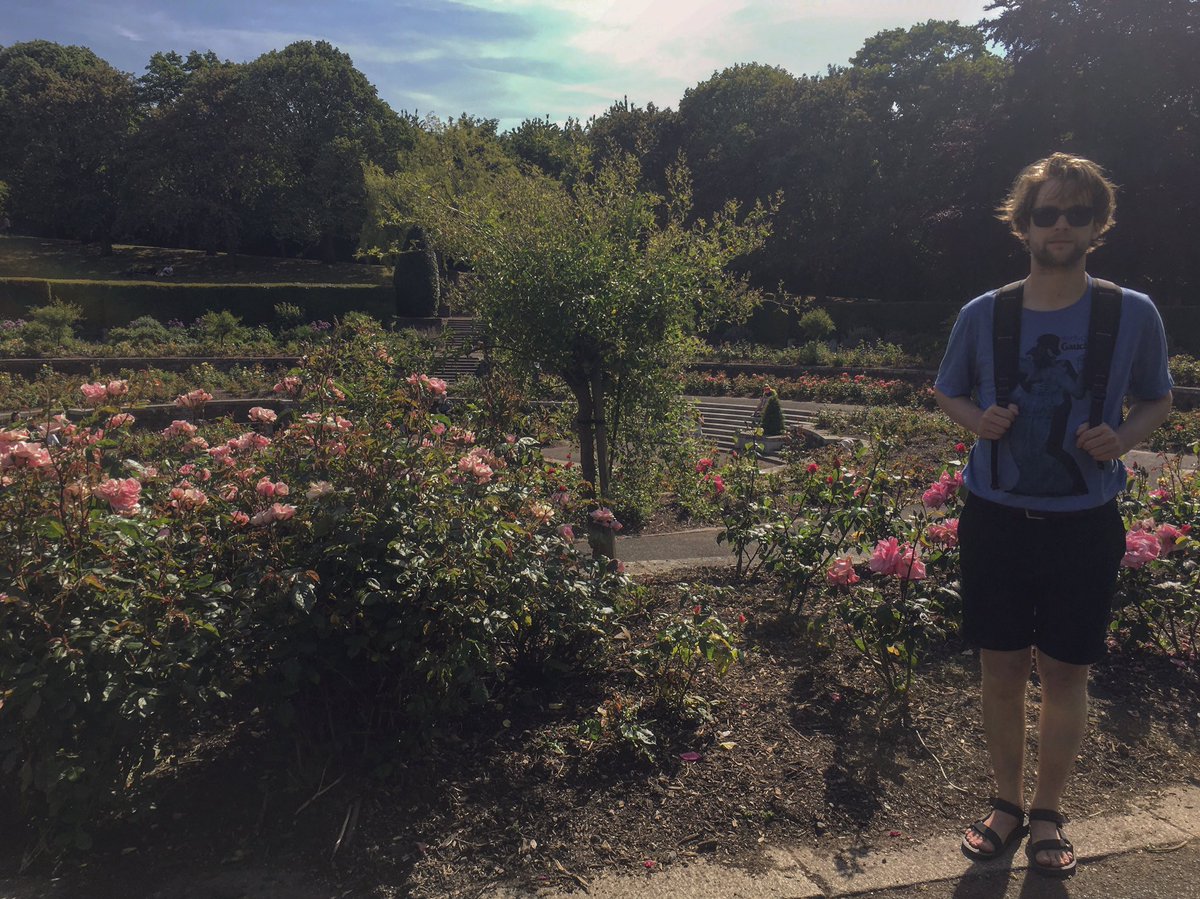 Zara_Hedderman's tweet photo. Rose garden with Tapley and his Steely Dan T-shirt. πΉ #rosedarling https://t.co/7LyWBAuz2w