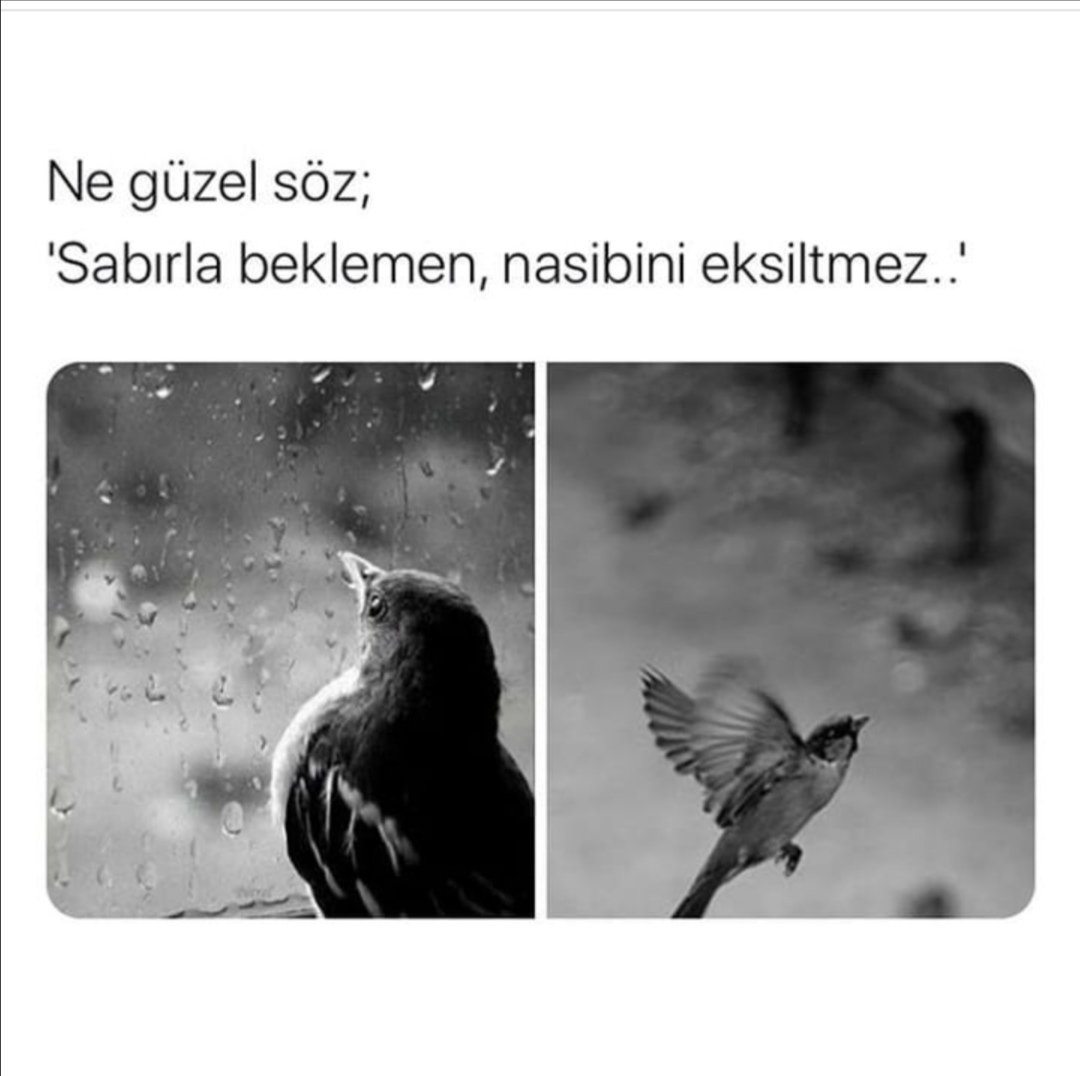 Krgc_68 (@krgc_68) on Twitter photo 